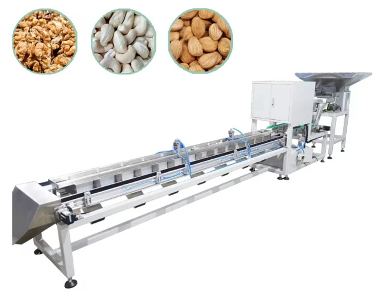 Máy phân loại và phân loại hạt